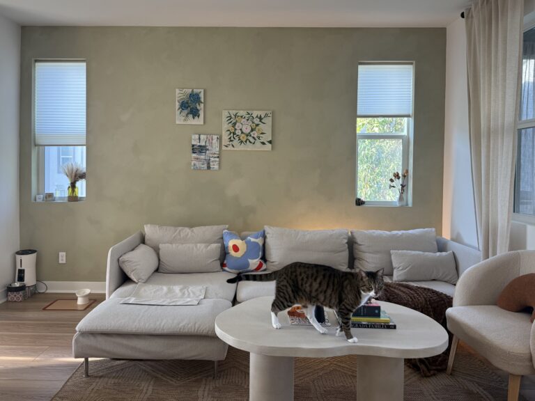 sage wall DIY limewash living room accent wall